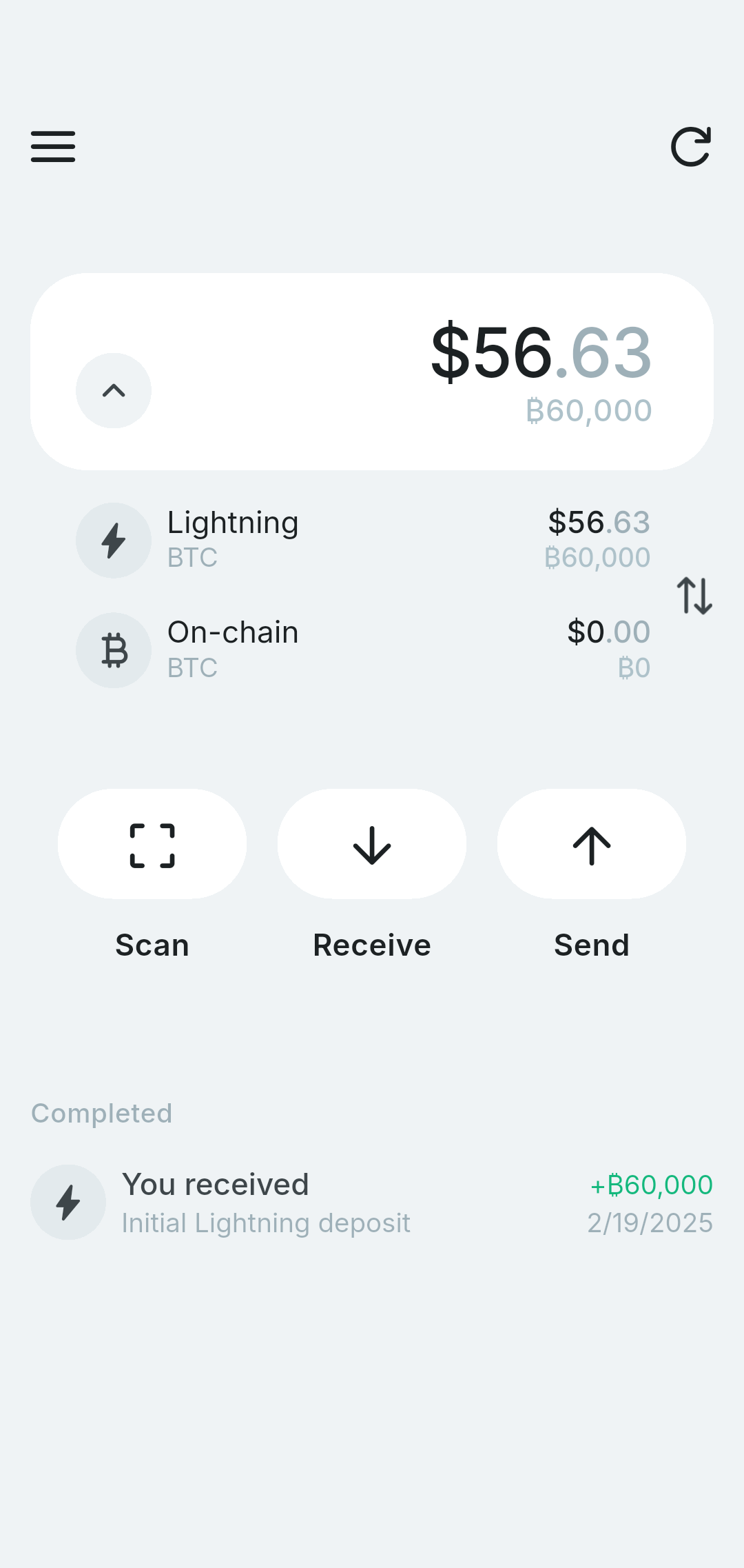 Funded wallet home screen