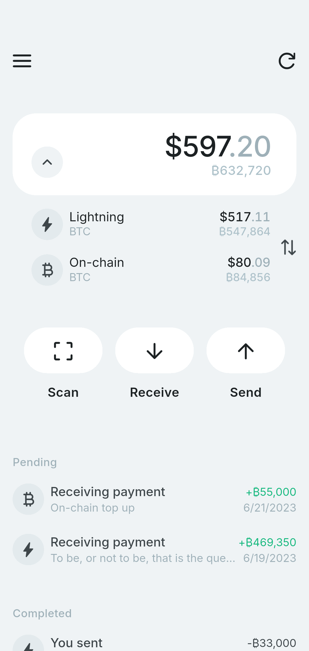 Lexe wallet home screen